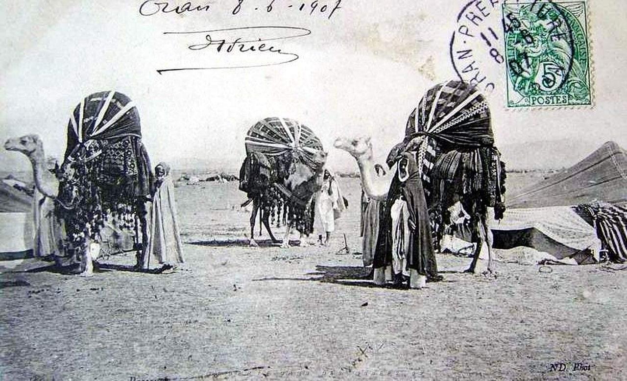 Sud oranais 032.JPG